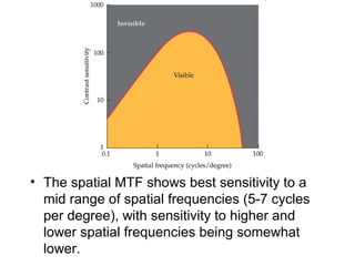 • The spatial MTF shows best sensitivity to a 
mid range of spatial frequencies (5-7 cycles 
per degree), with sensitivity to higher and 
lower spatial frequencies being somewhat 
lower. 
 