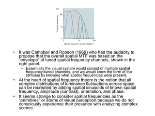 • It was Campbell and Robson (1969) who had the audacity to 
propose that the overall spatial MTF was based on the 
“envelope” of tuned spatial frequency channels, shown in the 
right panel. 
– Essentially the visual system would consist of multiple spatial 
frequency-tuned channels, and we would know the form of the 
stimulus by knowing what spatial frequencies were present. 
• At the heart of spatial frequency theory is the notion that all 
complex distributions of luminance fluctuations across space 
can be recreated by adding spatial sinusoids of known spatial 
frequency, amplitude (contrast), orientation, and phase. 
• It seems strange to consider spatial frequencies as the 
“primitives” or atoms of visual perception because we do not 
consciously experience their presence with analyzing complex 
scenes. 
 