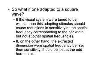 • So what if one adapted to a square 
wave? 
– If the visual system were tuned to bar 
widths, then this adapting stimulus should 
cause reductions in sensitivity at the spatial 
frequency corresponding to the bar width, 
but not at other spatial frequencies. 
– If, on the other hand, the extracted 
dimension were spatial frequency per se, 
then sensitivity should be lost at the odd 
harmonics. 
 