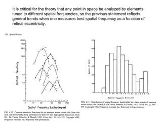 It is critical for the theory that any point in space be analyzed by elements 
tuned to different spatial frequencies, so the previous statement reflects 
general trends when one measures best spatial frequency as a function of 
retinal eccentricity. 
 