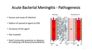 Obsense Infection CNS INFECTION - Copy.pptx