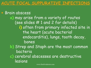 ACUTE FOCAL SUPPURATIVE INFECTIONS Brain abscess a)  may arise from a variety of routes   (see slides # 1 and 2 for details) i)  often from primary infected site in    the heart (acute bacterial    endocarditis), lungs, tooth decay,    bones b)  Strep and Staph are the most common    bacteria c)  cerebral abscesses are destructive      lesions www.freelivedoctor.com 