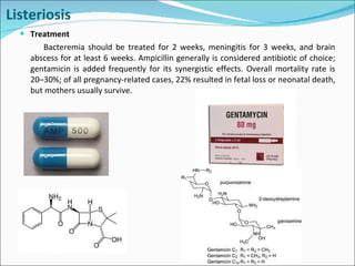 Treatment Bacteremia should be treated for 2 weeks, meningitis for 3 weeks, and brain abscess for at least 6 weeks. Ampicillin generally is considered antibiotic of choice; gentamicin is added frequently for its synergistic effects. Overall mortality rate is 20–30%; of all pregnancy-related cases, 22% resulted in fetal loss or neonatal death, but mothers usually survive. Listeriosis 