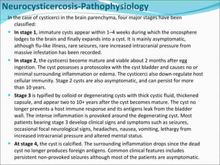In the case of cysticerci in the brain parenchyma, four major stages have been classified:  In stage 1 , immature cysts appear within 1–4 weeks during which the oncosphere lodges to the brain and finally expands into a cyst. It is mainly asymptomatic, although flu-like illness, rare seizures, rare increased intracranial pressure from massive infestation has been recorded.  In stage 2 , the cysticerci become mature and viable about 2 months after egg ingestion. The cyst possesses a protoscolex with the cyst bladder and causes no or minimal surrounding inflammation or edema. The cysticerci also down-regulate host cellular immunity. Stage 2 cysts are also asymptomatic, and can persist for more than 10 years. Stage 3  is typified by colloid or degenerating cysts with thick cystic fluid, thickened capsule, and appear two to 10+ years after the cyst becomes mature. The cyst no longer prevents a host immune response and its antigens leak from the bladder wall. The intense inflammation is provoked around the degenerating cyst. Most patients bearing stage 3 develop clinical signs and symptoms such as seizures, occasional focal neurological signs, headaches, nausea, vomiting, lethargy from increased intracranial pressure and altered mental status.  At stage 4,  the cyst is calcified. The surrounding inflammation drops since the dead cyst no longer produces foreign antigens. Common clinical features includes persistent non-provoked seizures although most of the patients are asymptomatic. Neurocysticercosis-Pathophysiology 