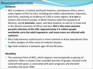 Incidence NCC is endemic in Central and South America, sub-Saharan Africa, and in some regions of the Far East, including the Indian subcontinent, Indonesia, and China, reaching an incidence of 3.6% in some regions.  It is rare  in Eastern and Central Europe, in North America (with the exception of Mexico), and  in Australia , Japan, and New Zealand, as well as in Israel and in the Muslim countries of Africa and Asia.  NCC is the most common parasitic infection of the CNS. Approximately 2.5 million people worldwide carry the adult tapeworm, and many more are infected with cysticerci. Race Subcutaneous cysticercosis is more common in Asian populations than in other peoples of other areas of endemic disease.  Age Peak incidence is between ages 30 and 40 years. Morbidity The racemose form of NCC, which appears macroscopically as groups of cysticerci, often in clusters that resemble bunches of grapes, located in the subarachnoid space, is associated with poor prognosis and elevated mortality rate (over 20%).  Neurocysticercosis 