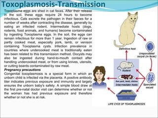 Toxoplasmosis-Transmission Toxoplasma eggs are shed in cat feces. After their release in the soil, these eggs require 24 hours to become infectious. Cats excrete the pathogen in their faeces for a number of weeks after contracting the disease, generally by eating an infected rodent. Intermediate hosts (dogs, rodents, food animals, and humans) become contaminated by ingesting Toxoplasma eggs. In the soil, the eggs can remain infectious for more than 1 year. Ingestion of raw or partly cooked meat, especially pork, lamb, or venison containing Toxoplasma cysts. Infection prevalence in countries where undercooked meat is traditionally eaten has been related to this transmission method. Oocysts may also be ingested during hand-to-mouth contact after handling undercooked meat, or from using knives, utensils, or cutting boards contaminated by raw meat.  Pregnancy precautions Congenital toxoplasmosis is a special form in which an unborn child is infected via the placenta. A positive antibody titer indicates previous exposure and immunity and largely ensures the unborn baby's safety. A simple blood draw at the first pre-natal doctor visit can determine whether or not the woman has had previous exposure and therefore whether or not she is at risk. 