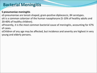 S pneumoniae meningitis oS pneumoniae are lancet-shaped, gram-positive diplococcic, 84 serotypes. oIt is a common colonizer of the human nasopharynx (5-10% of healthy adults and 20-40% of healthy children).  oPresently, it is the most common bacterial cause of meningitis, accounting for 47% of cases.  oChildren of any age may be affected, but incidence and severity are highest in very young and elderly persons. 