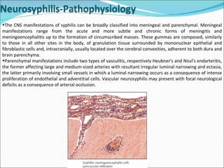 .  The CNS manifestations of syphilis can be broadly classified into meningeal and parenchymal. Meningeal manifestations range from the acute and more subtle and chronic forms of meningitis and meningoencephalitis up to the formation of circumscribed masses. These gummas are composed, similarly to those in all other sites in the body, of granulation tissue surrounded by mononuclear epithelial and fibroblastic cells and, intracranially, usually located over the cerebral convexities, adherent to both dura and brain parenchyma.  Parenchymal manifestations include two types of vasculitis, respectively Heubner's and Nissl's endarteritis, the former affecting large and medium-sized arteries with resultant irregular luminal narrowing and ectasia, the latter primarily involving small vessels in which a luminal narrowing occurs as a consequence of intense proliferation of endothelial and adventitial cells. Vascular neurosyphilis may present with focal neurological deficits as a consequence of arterial occlusion.  