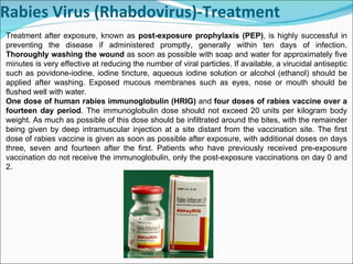 Rabies Virus (Rhabdovirus)-Treatment Treatment after exposure, known as  post-exposure prophylaxis (PEP) , is highly successful in preventing the disease if administered promptly, generally within ten days of infection.  Thoroughly washing the wound  as soon as possible with soap and water for approximately five minutes is very effective at reducing the number of viral particles. If available, a virucidal antiseptic such as povidone-iodine, iodine tincture, aqueous iodine solution or alcohol (ethanol) should be applied after washing. Exposed mucous membranes such as eyes, nose or mouth should be flushed well with water. One dose of human rabies immunoglobulin (HRIG)  and  four doses of rabies vaccine over a fourteen day period . The immunoglobulin dose should not exceed 20 units per kilogram body weight. As much as possible of this dose should be infiltrated around the bites, with the remainder being given by deep intramuscular injection at a site distant from the vaccination site. The first dose of rabies vaccine is given as soon as possible after exposure, with additional doses on days three, seven and fourteen after the first. Patients who have previously received pre-exposure vaccination do not receive the immunoglobulin, only the post-exposure vaccinations on day 0 and 2.  
