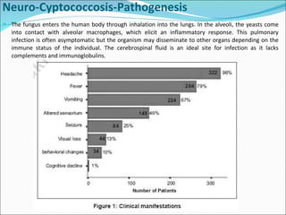 Neuro-Cyptococcosis-Pathogenesis The fungus enters the human body through inhalation into the lungs. In the alveoli, the yeasts come into contact with alveolar macrophages, which elicit an inflammatory response. This pulmonary infection is often asymptomatic but the organism may disseminate to other organs depending on the immune status of the individual. The cerebrospinal fluid is an ideal site for infection as it lacks complements and immunoglobulins. 