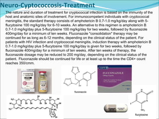 Neuro-Cyptococcosis-Treatment The nature and duration of treatment for cryptococcal infection is based on the immunity of the host and anatomic sites of involvement. For immunocompetent individuals with cryptococcal meningitis, the standard therapy consists of amphotericin B 0.7-1.0 mg/kg/day along with 5-flucytosine 100 mg/kg/day for 6-10 weeks. An alternative to this regimen is amphotericin B 0.7-1.0 mg/kg/day plus 5-flucytosine 100 mg/kg/day for two weeks, followed by fluconazole 400mg/day for a minimum of ten weeks. Fluconazole "consolidation" therapy may be continued for as long as 6-12 months, depending on the clinical status of the patient. For patients with HIV infection and cryptococcal meningitis, induction therapy with amphotericin B 0.7-1.0 mg/kg/day plus 5-flucytosine 100 mg/kg/day is given for two weeks, followed by fluconazole 400mg/day for a minimum of ten weeks. After ten weeks of therapy, the fluconazole dosage may be reduced to 200 mg/day, depending on the clinical status of the patient.    Fluconazole should be continued for life or at least up to the time the CD4+ count reaches 350/cmm. 