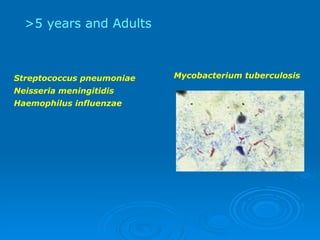 Mycobacterium tuberculosis >5 years and Adults Streptococcus pneumoniae   Neisseria meningitidis Haemophilus influenzae 