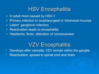 HSV Encephalitis In adult most caused by HSV-1 Primary infection in oropharyngeal or intranasal mucosa Latent  ganglionic infection Reactivation leads to encephalitis  Headache, fever, alteration of conciousness VZV Encephalitis Develops after varicella, VZV remain within the ganglia Reactivation, spread to spinal cord and brain 