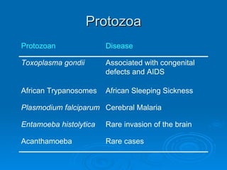 Protozoa Protozoan Disease Toxoplasma gondii Associated with congenital defects and AIDS African Trypanosomes African Sleeping Sickness Plasmodium falciparum Cerebral Malaria Entamoeba histolytica Rare invasion of the brain Acanthamoeba Rare cases 