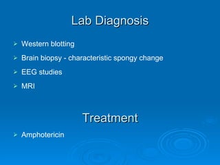 Lab Diagnosis Western blotting Brain biopsy - characteristic spongy change EEG studies MRI Treatment Amphotericin 