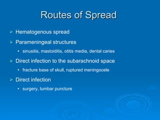 Routes of Spread  Hematogenous spread Parameningeal structures sinusitis, mastoiditis, otitis media, dental caries Direct infection to the subarachnoid space fracture base of skull, ruptured meningocele Direct infection  surgery, lumbar puncture 