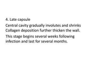 4. Late capsule
Central cavity gradually involutes and shrinks
Collagen deposition further thicken the wall.
This stage begins several weeks following
infection and last for several months.
 