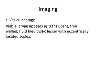 Imaging
• Vesicular stage
Viable larvae appears as translucent, thin
walled, fluid filed cystic lesion with eccentrically
located scolex.
 
