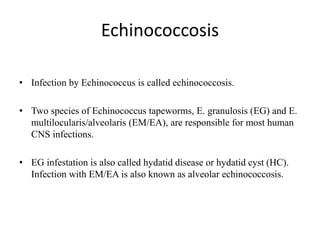 Echinococcosis
• Infection by Echinococcus is called echinococcosis.
• Two species of Echinococcus tapeworms, E. granulosis (EG) and E.
multilocularis/alveolaris (EM/EA), are responsible for most human
CNS infections.
• EG infestation is also called hydatid disease or hydatid cyst (HC).
Infection with EM/EA is also known as alveolar echinococcosis.
 