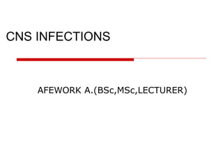 CNS INFECTIONS
AFEWORK A.(BSc,MSc,LECTURER)
 