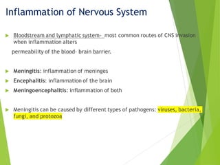 CNS infections of the whole central nervous system including the ...
