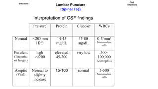 Comprehensive Overview of Central Nervous System Infections and ...