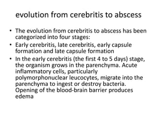 evolution from cerebritis to abscess
• The evolution from cerebritis to abscess has been
categorized into four stages:
• Early cerebritis, late cerebritis, early capsule
formation and late capsule formation
• In the early cerebritis (the first 4 to 5 days) stage,
the organism grows in the parenchyma. Acute
inflammatory cells, particularly
polymorphonuclear leucocytes, migrate into the
parenchyma to ingest or destroy bacteria.
Opening of the blood-brain barrier produces
edema
 