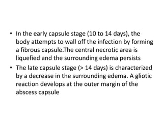 • In the early capsule stage (10 to 14 days), the
body attempts to wall off the infection by forming
a fibrous capsule.The central necrotic area is
liquefied and the surrounding edema persists
• The late capsule stage (> 14 days) is characterized
by a decrease in the surrounding edema. A gliotic
reaction develops at the outer margin of the
abscess capsule
 
