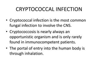 CRYPTOCOCCAL INFECTION
• Cryptococcal infection is the most common
fungal infection to involve the CNS.
• Cryptococcosis is nearly always an
opportunistic organism and is only rarely
found in immunocompetent patients.
• The portal of entry into the human body is
through inhalation.
 