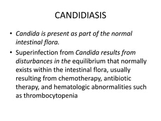 CANDIDIASIS
• Candida is present as part of the normal
intestinal flora.
• Superinfection from Candida results from
disturbances in the equilibrium that normally
exists within the intestinal flora, usually
resulting from chemotherapy, antibiotic
therapy, and hematologic abnormalities such
as thrombocytopenia
 