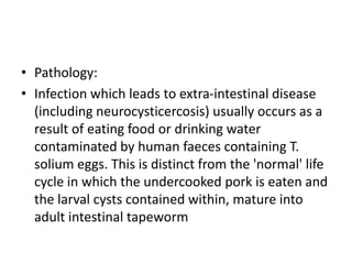 • Pathology:
• Infection which leads to extra-intestinal disease
(including neurocysticercosis) usually occurs as a
result of eating food or drinking water
contaminated by human faeces containing T.
solium eggs. This is distinct from the 'normal' life
cycle in which the undercooked pork is eaten and
the larval cysts contained within, mature into
adult intestinal tapeworm
 