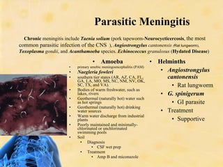 Pam Infection CNS Infections Siddiqui | PPT
