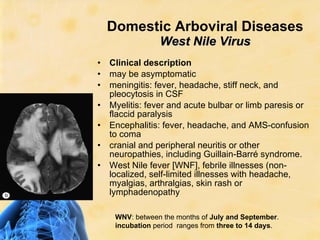 CNS Infections Siddiqui | PPT