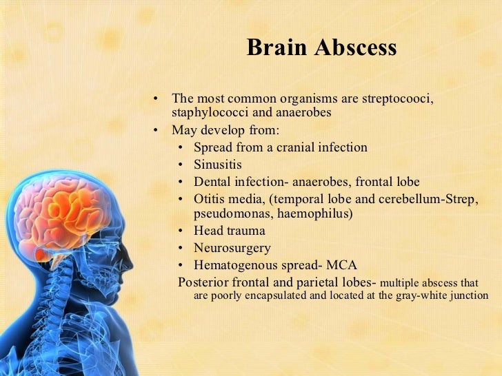 CNS Infections Siddiqui