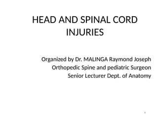 Comprehensive Overview of Head and Spinal Cord Injuries: Anatomy ...