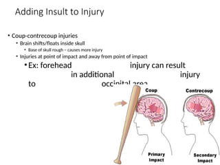 Comprehensive Overview of Head and Spinal Cord Injuries: Anatomy ...