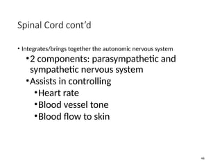Comprehensive Overview of Head and Spinal Cord Injuries: Anatomy ...