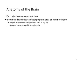 Comprehensive Overview of Head and Spinal Cord Injuries: Anatomy ...