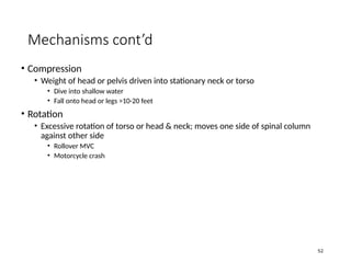 Comprehensive Overview of Head and Spinal Cord Injuries: Anatomy ...