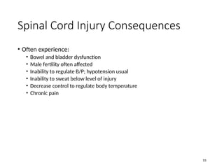 Comprehensive Overview of Head and Spinal Cord Injuries: Anatomy ...