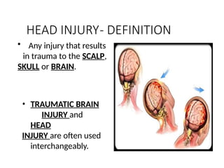Comprehensive Overview of Head and Spinal Cord Injuries: Anatomy ...