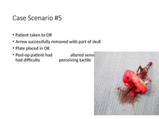 Comprehensive Overview of Head and Spinal Cord Injuries: Anatomy ...