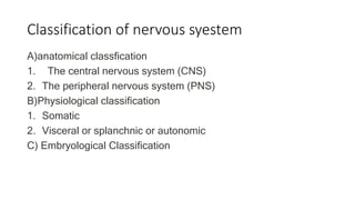 CNS intro.pptx
