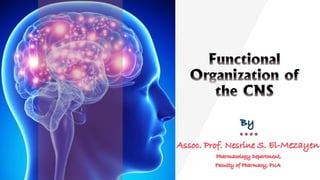 Comprehensive Overview of the Central Nervous System: Structure ...