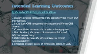 Comprehensive Overview of the Central Nervous System: Structure ...