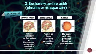 Comprehensive Overview of the Central Nervous System: Structure ...