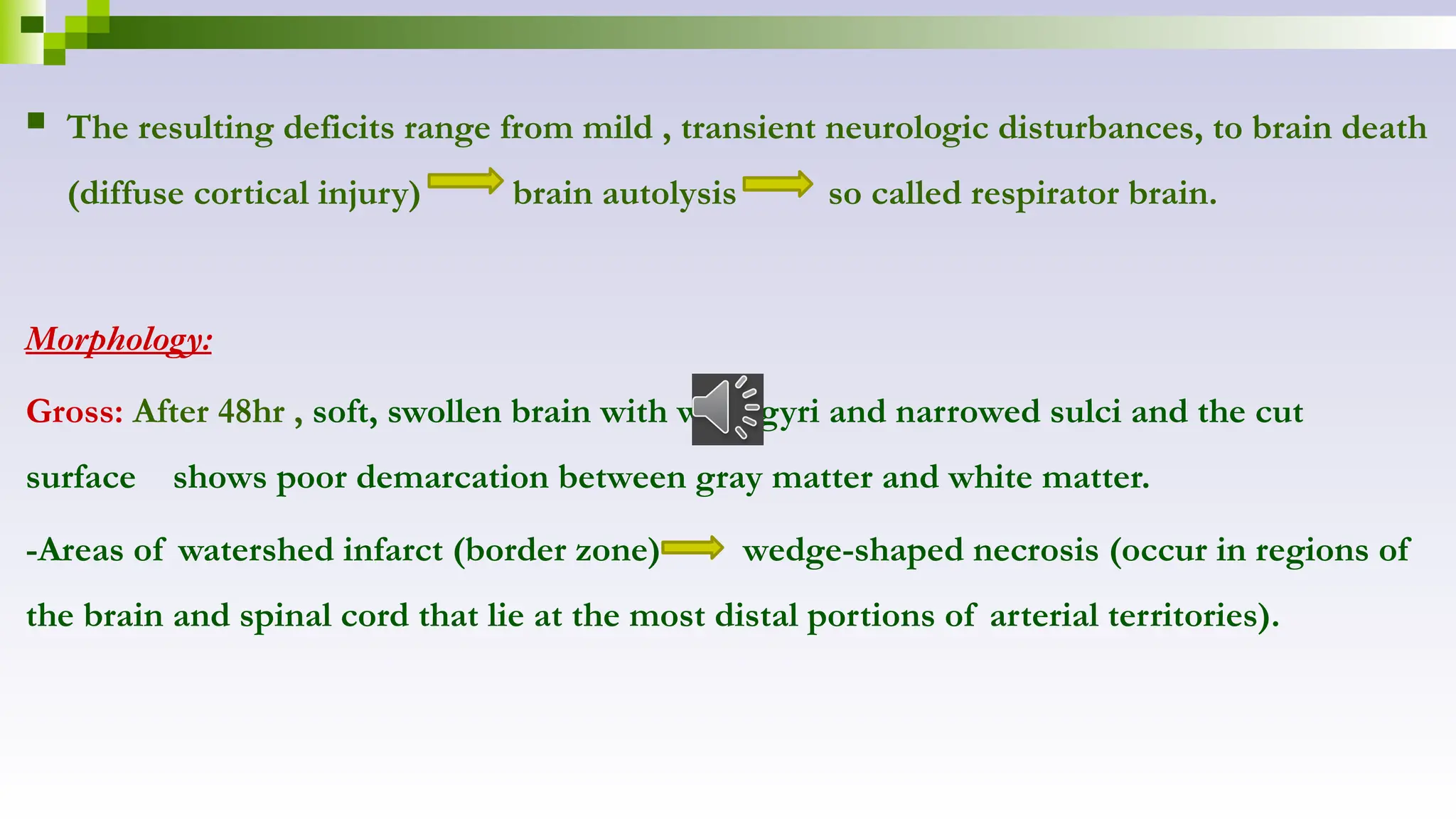  The resulting deficits range from mild , transient neurologic disturbances, to brain death
(diffuse cortical injury) brain autolysis so called respirator brain.
Morphology:
Gross: After 48hr , soft, swollen brain with wide gyri and narrowed sulci and the cut
surface shows poor demarcation between gray matter and white matter.
-Areas of watershed infarct (border zone) wedge-shaped necrosis (occur in regions of
the brain and spinal cord that lie at the most distal portions of arterial territories).
 