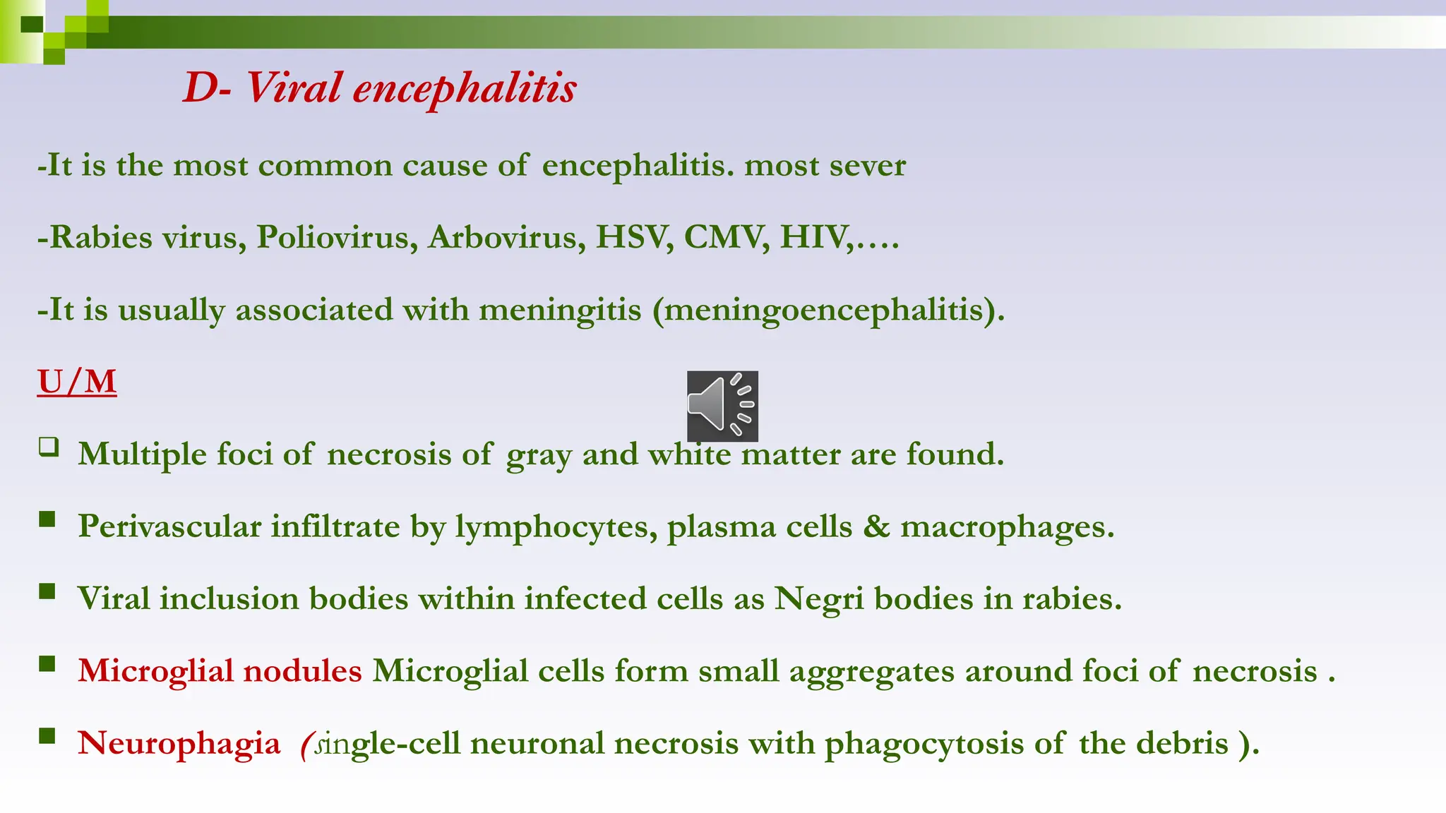 D- Viral encephalitis
-It is the most common cause of encephalitis. most sever
-Rabies virus, Poliovirus, Arbovirus, HSV, CMV, HIV,….
-It is usually associated with meningitis (meningoencephalitis).
U/M
 Multiple foci of necrosis of gray and white matter are found.
 Perivascular infiltrate by lymphocytes, plasma cells & macrophages.
 Viral inclusion bodies within infected cells as Negri bodies in rabies.
 Microglial nodules Microglial cells form small aggregates around foci of necrosis .
 Neurophagia (single-cell neuronal necrosis with phagocytosis of the debris ).
 