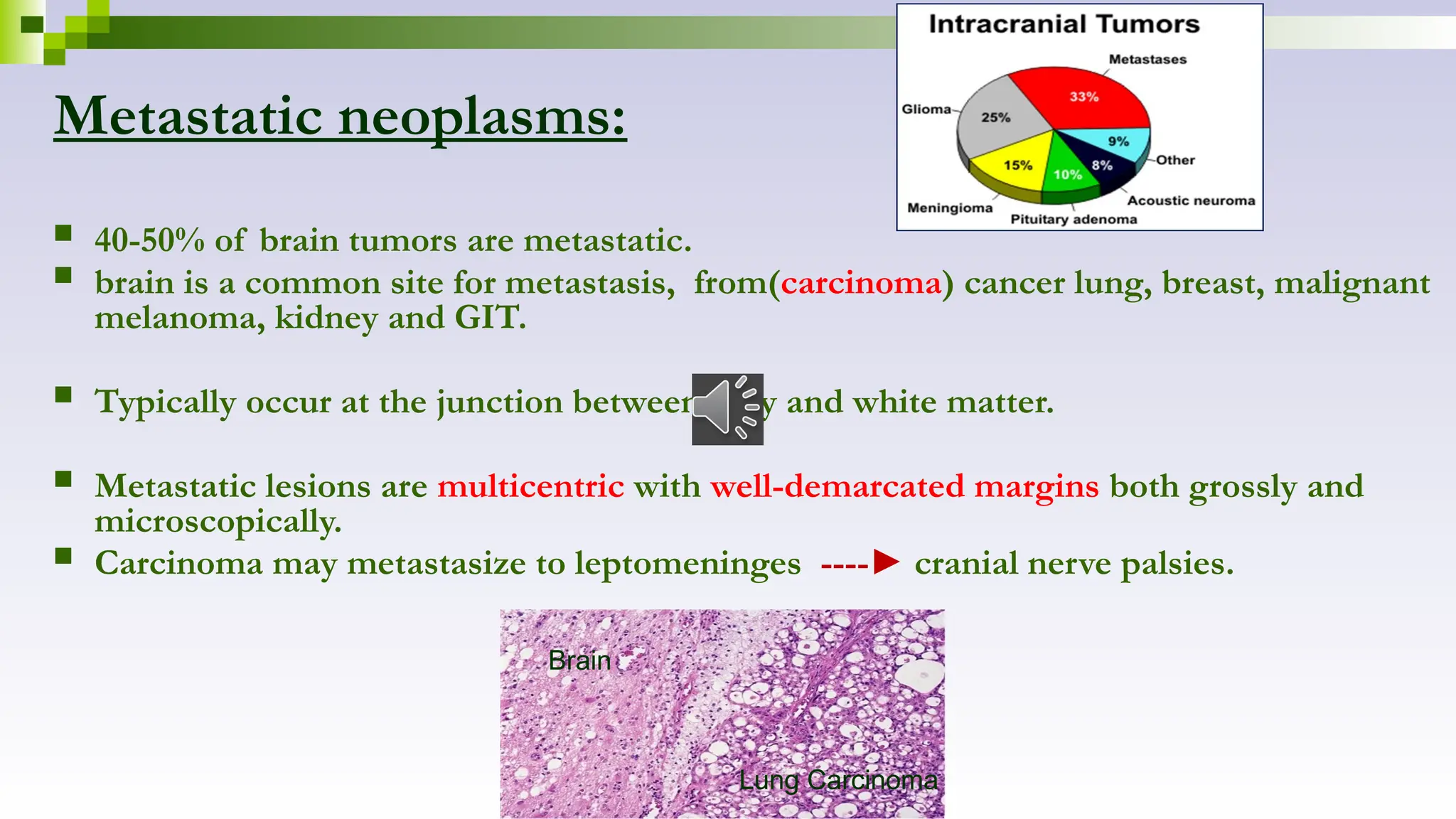 Metastatic neoplasms:
 40-50% of brain tumors are metastatic.
 brain is a common site for metastasis, from(carcinoma) cancer lung, breast, malignant
melanoma, kidney and GIT.
 Typically occur at the junction between grey and white matter.
 Metastatic lesions are multicentric with well-demarcated margins both grossly and
microscopically.
 Carcinoma may metastasize to leptomeninges ----► cranial nerve palsies.
Lung Carcinoma
Brain
 