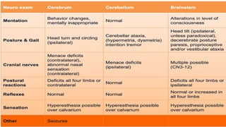 Basic Cns Pattern CNS Localization.pptxcns vns cns cns cns | PPTX